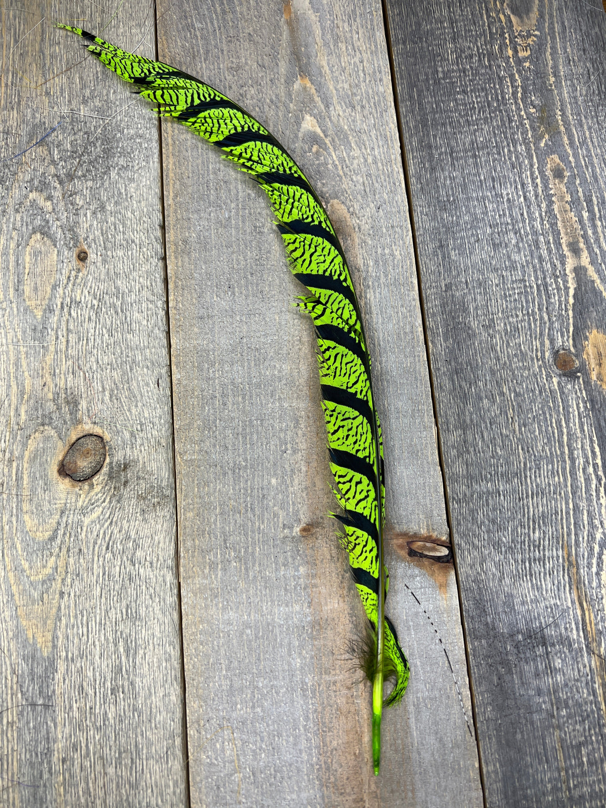 Lady Amherst Center Tail Halfs Chartreuse Pheasant Feathers