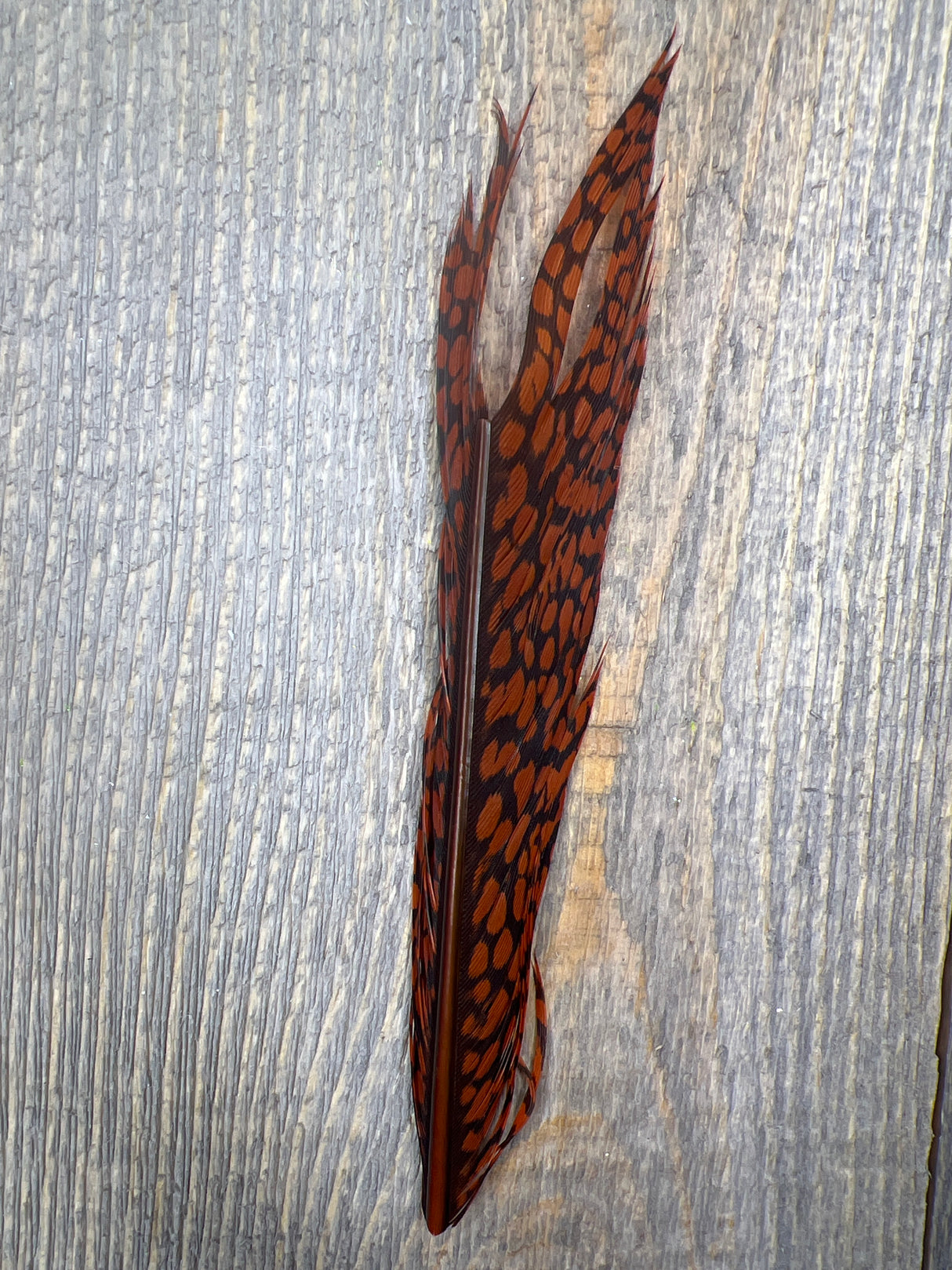 Nature's Sprit Golden Pheasant Center Tail Piece Rusty Orange Pheasant Feathers