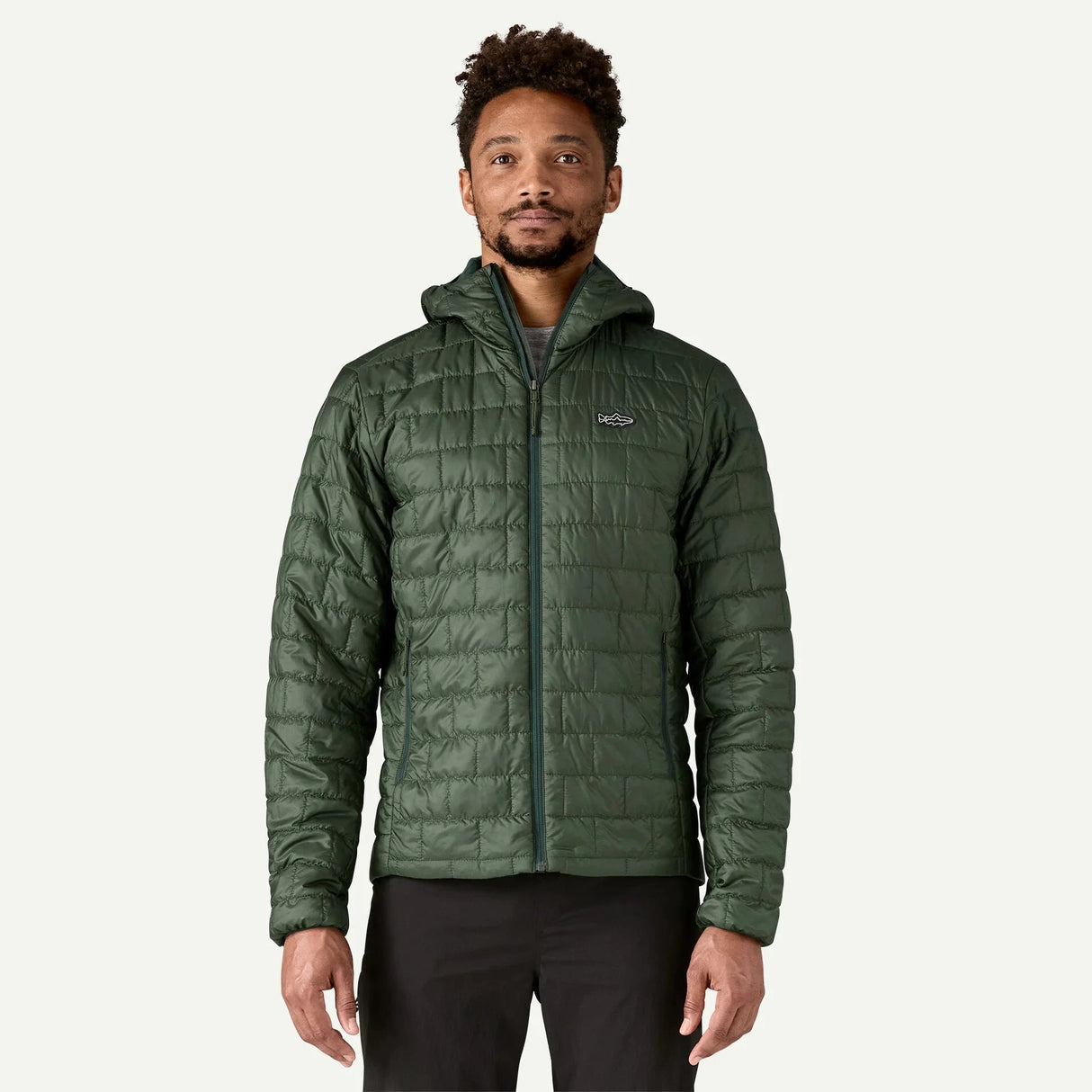 Patagonia M's Nano Puff Fitz Roy Trout Hoody Clothing