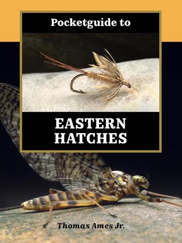 Pocket Guide to Eastern Hatches by Thomas Ames Jr Books