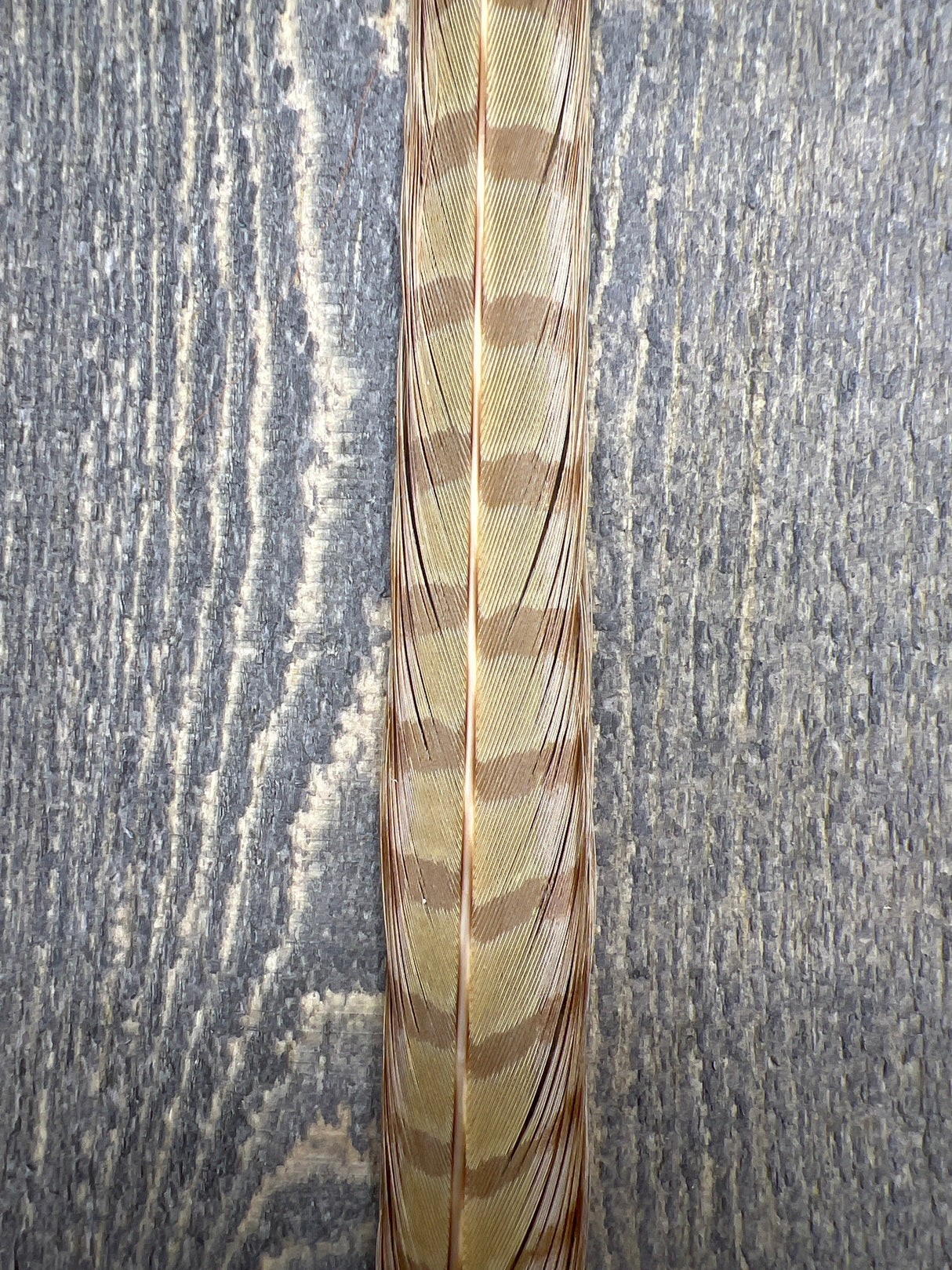 Ringneck Pheasant Tail Center Pair Bleached Ginger Pheasant Feathers