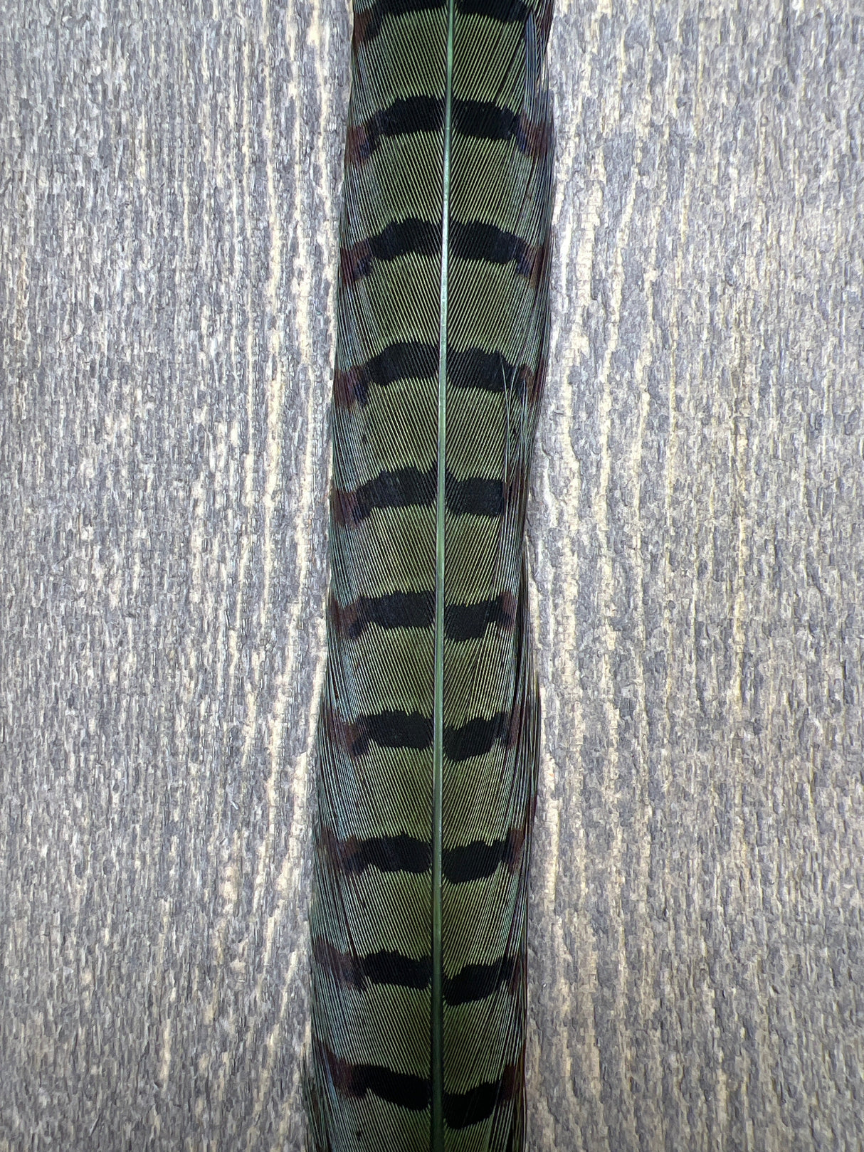 Ringneck Pheasant Tail Center Pair Green Pheasant Feathers