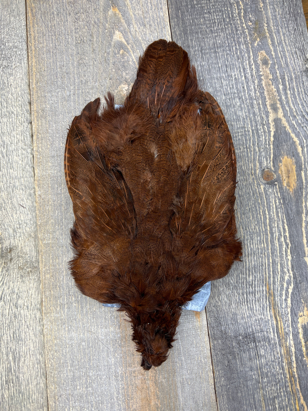 Select Complete Partridge Skin Dyed Rusty Brown Partridge Feathers