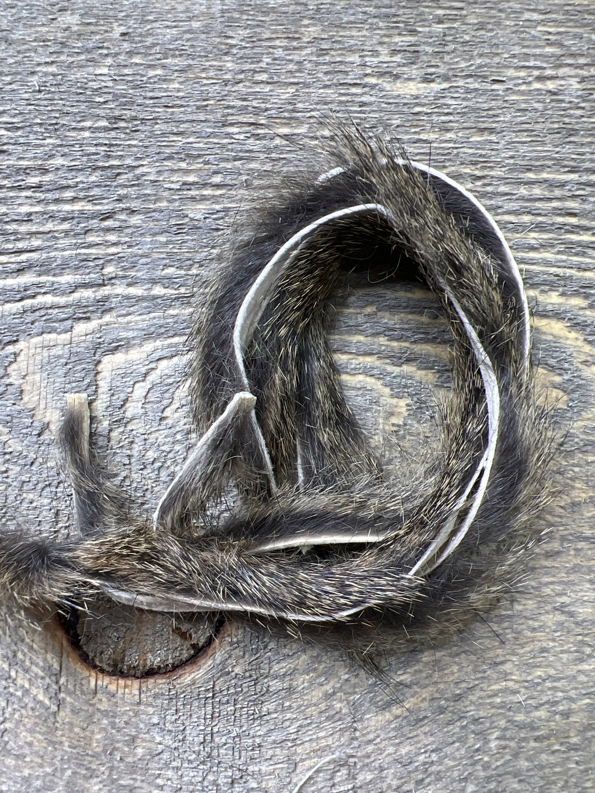 Spent Fly Fishing 3/32" Leech Cut Squirrel Strips Natural Brown Squirrel Hair