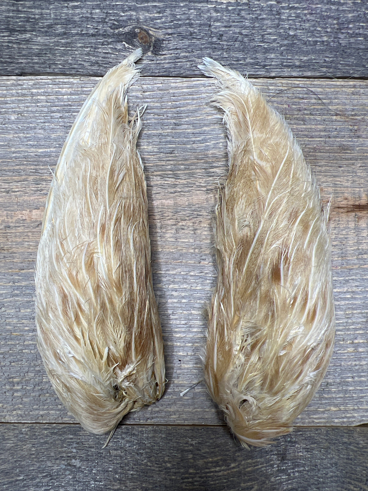 Spent Fly Fishing Hungarian Partridge Wing Pair Bleached Ginger Partridge Feathers
