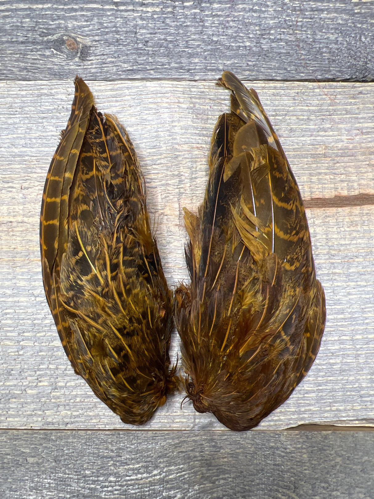 Spent Fly Fishing Hungarian Partridge Wing Pair Burnt Orange Partridge Feathers