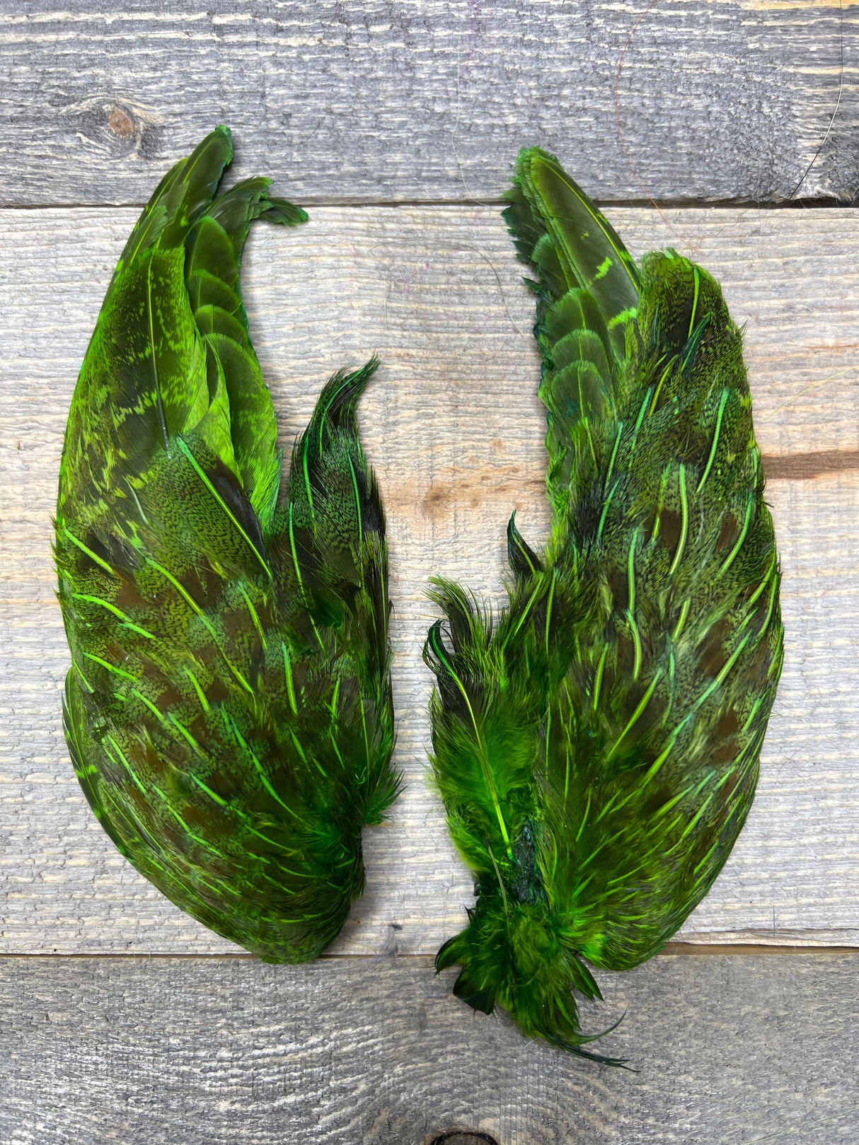 Spent Fly Fishing Hungarian Partridge Wing Pair Caddis Green Partridge Feathers