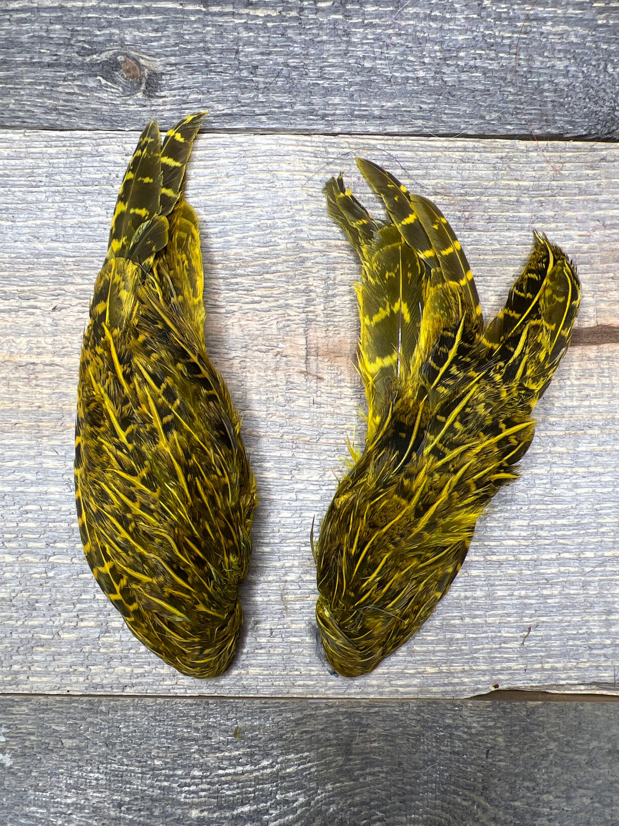 Spent Fly Fishing Hungarian Partridge Wing Pair Light Olive Partridge Feathers