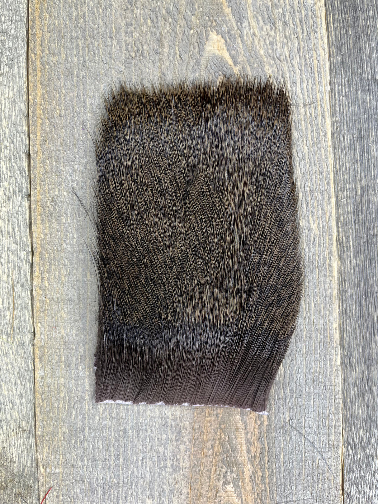 Varner's Big Bug Deer Hair 3" x 4" Patch - Mid Season Grade #1 Brown Deer Hair