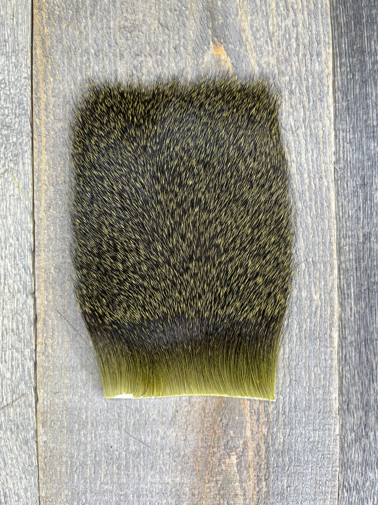 Varner's Big Bug Deer Hair 3" x 4" Patch - Mid Season Grade #2 Olive Deer Hair