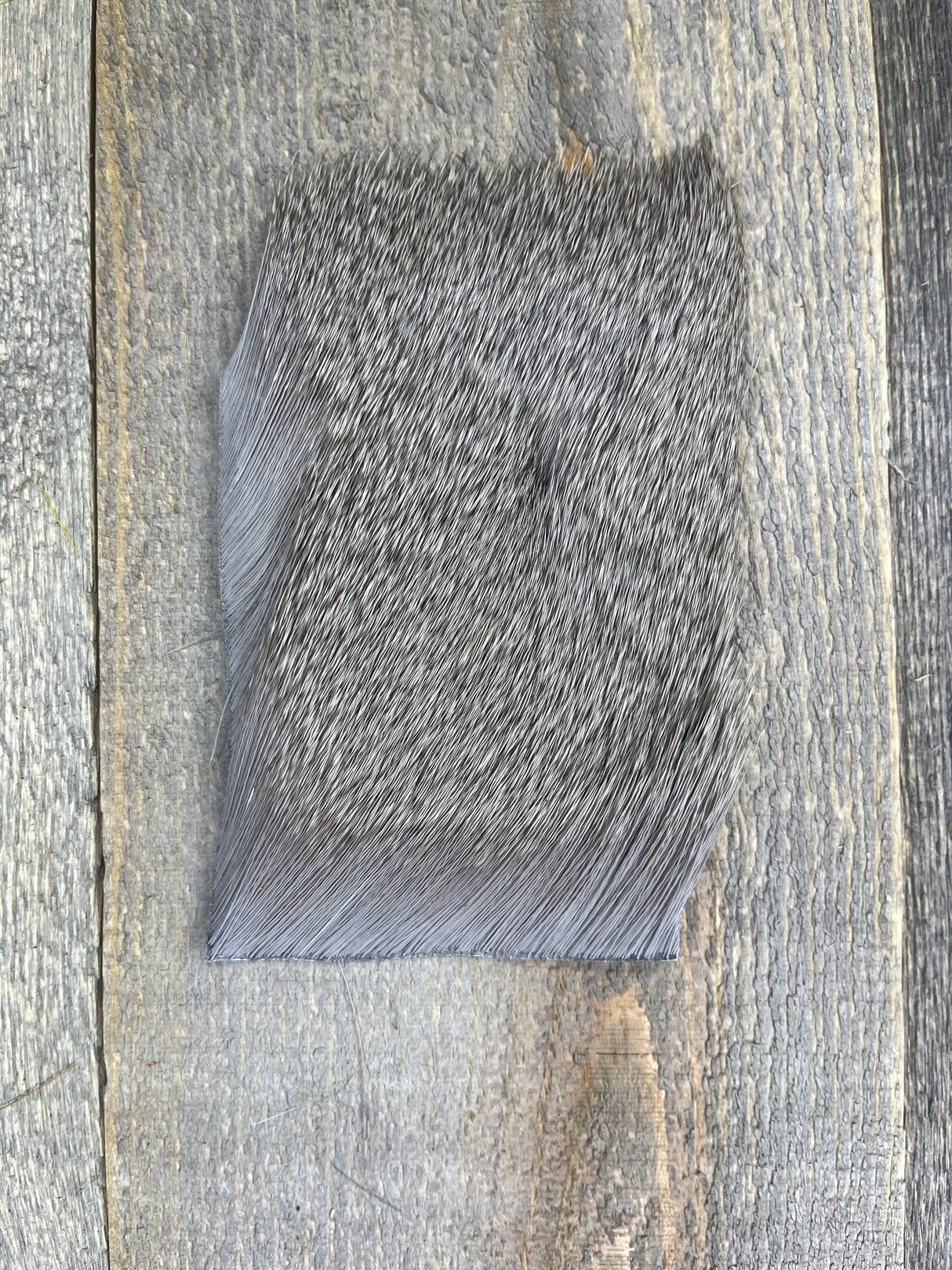 Varner's Big Bug Deer Hair 3" x 4" Patch - Mid Season Grade #2 Pearl Gray Deer Hair