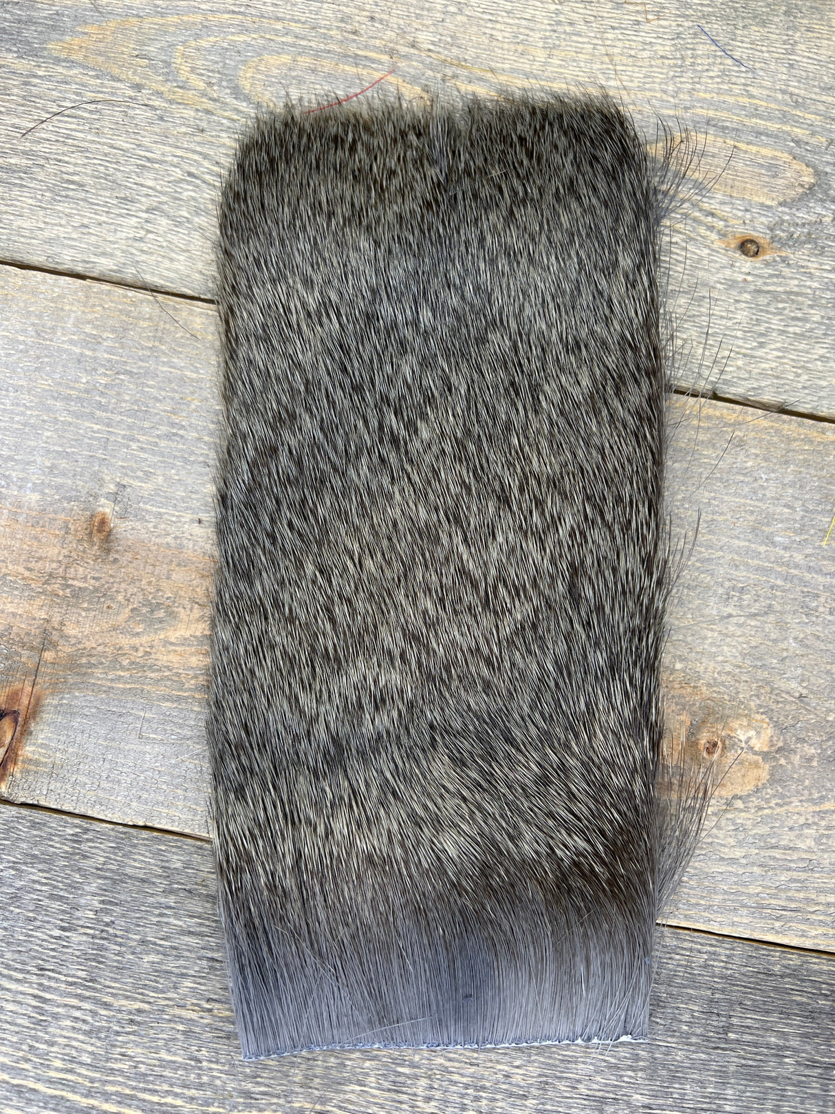 Varner's Big Bug Deer Hair 4" x 8" Patch - Late Season Grade #2 Gray Deer Hair