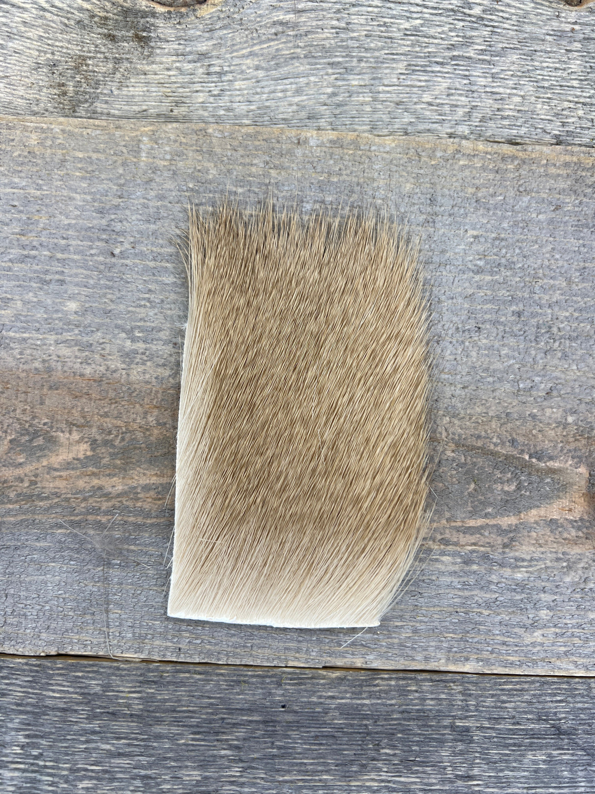 Varner's Deer Hair Short & Fine Ash Deer Hair