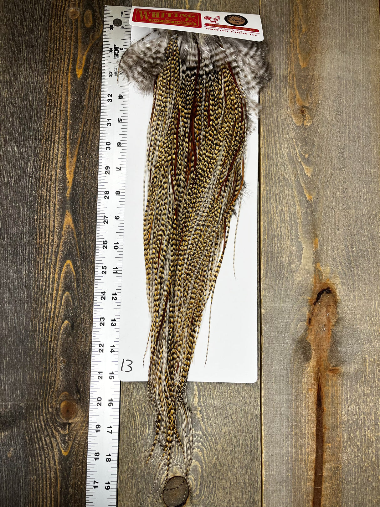 Whiting Bronze Grade Saddle Cree #13 Dry Fly Hackle