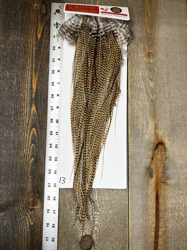 Whiting Bronze Grade Saddle Cree #13 Dry Fly Hackle