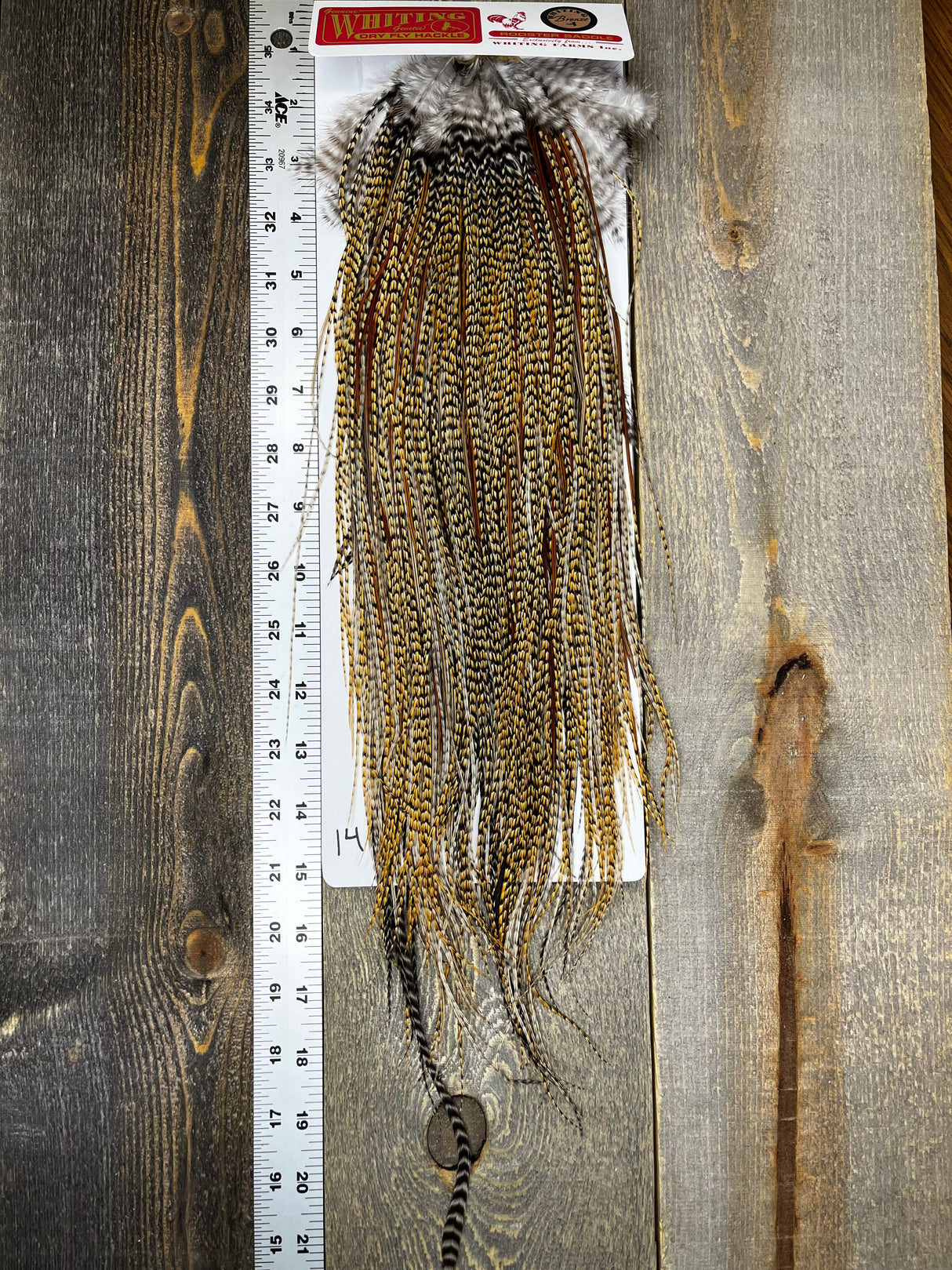 Whiting Bronze Grade Saddle Cree #14 Dry Fly Hackle