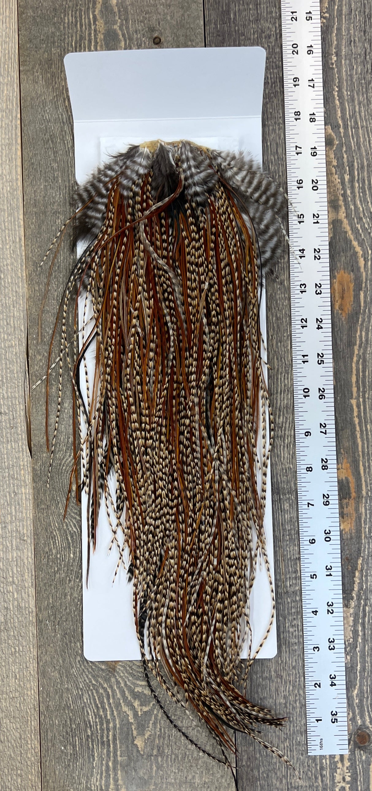 Whiting Bronze Grade Saddle Cree #14 Dry Fly Hackle