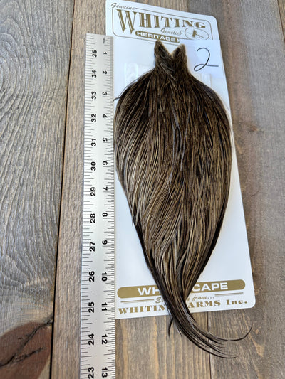 Whiting Heritage Cape Grade #1 - #02 Dry Fly Hackle