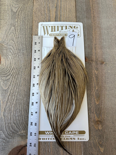 Whiting Heritage Cape Grade #1 - #09 Dry Fly Hackle