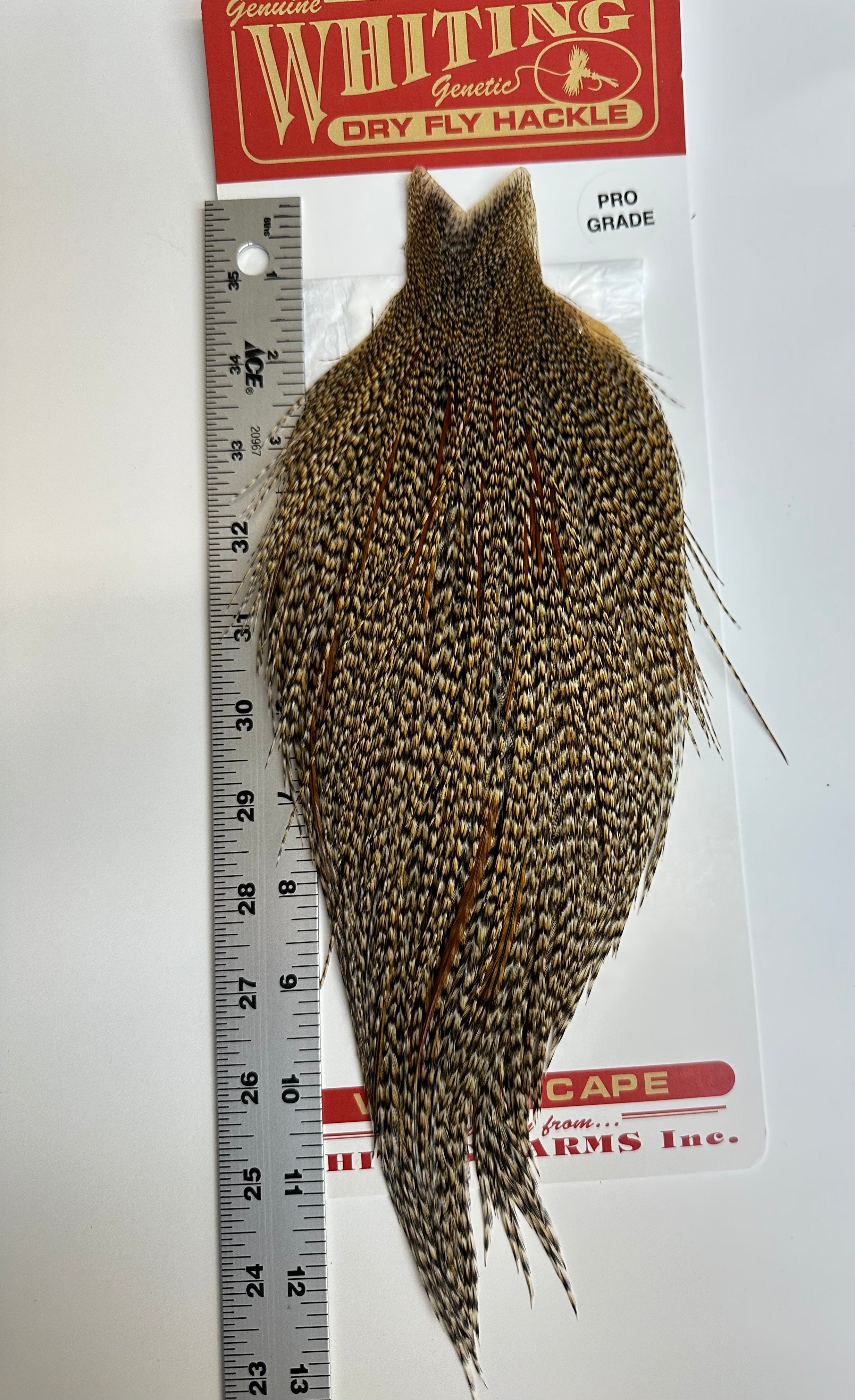 Whiting Pro Grade Cree Cape #32 – Dakota Angler & Outfitter