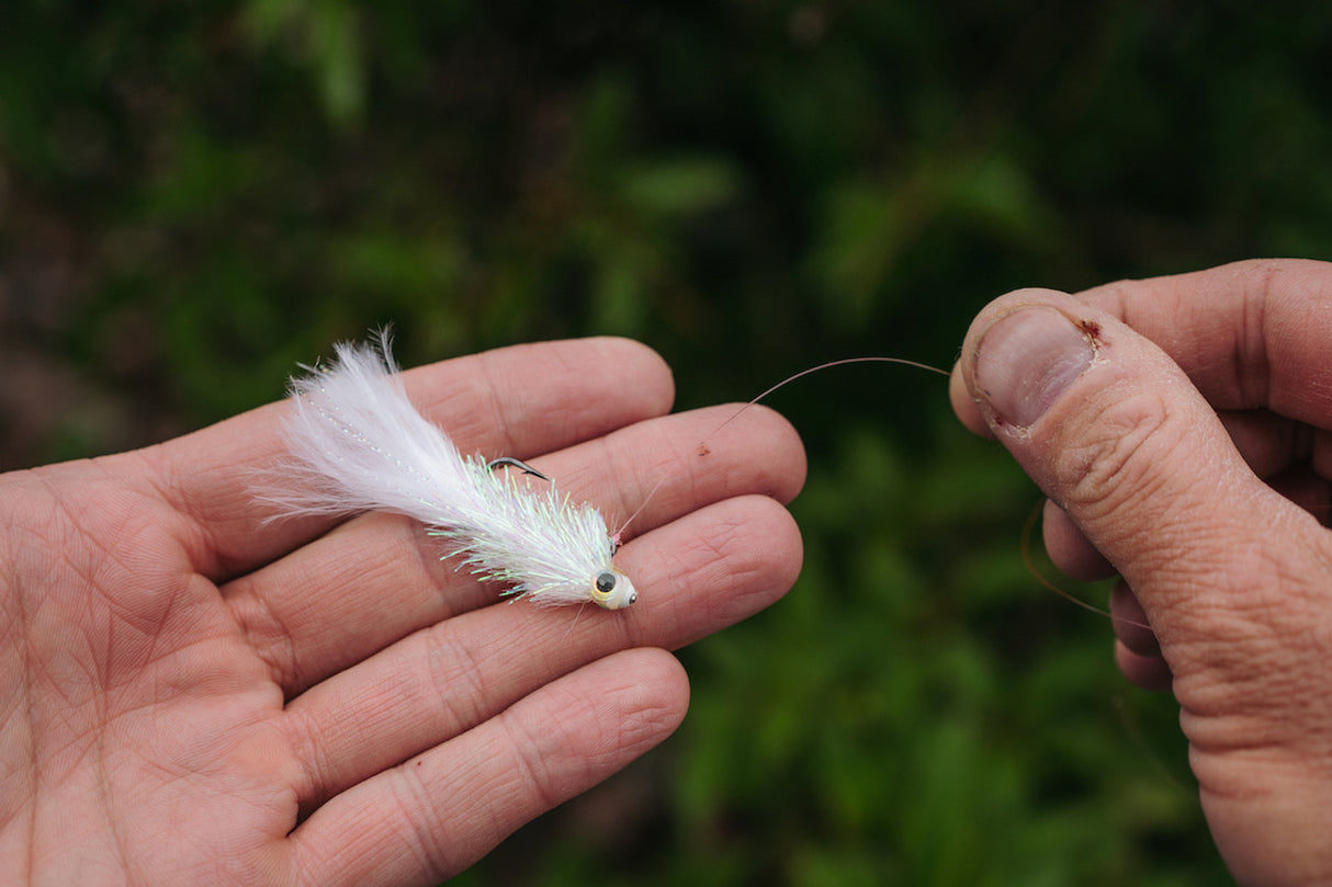Winkler's Balanced $ Minnow Trout Flies