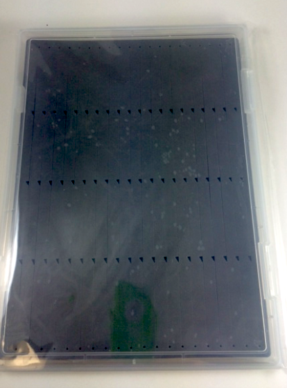 Anglers Image 60 Slit Magnum Fly Box