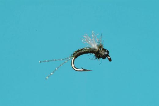 Bead Head Cheeseman Emerger