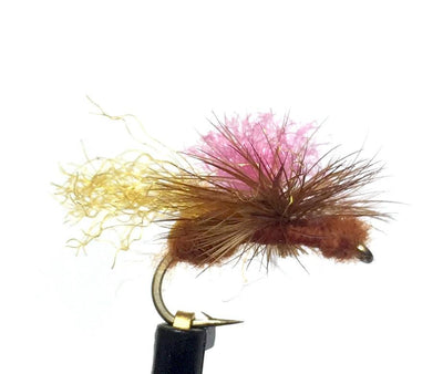 Bloom's Parachute Ant Cinnamon Size 12 Trout Fly