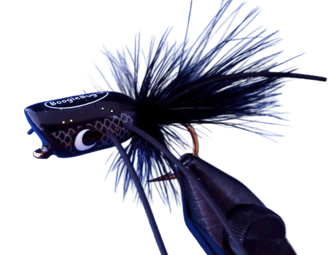 Boogle Amnesia Bug Black Galaxy / #10 Warmwater Flies
