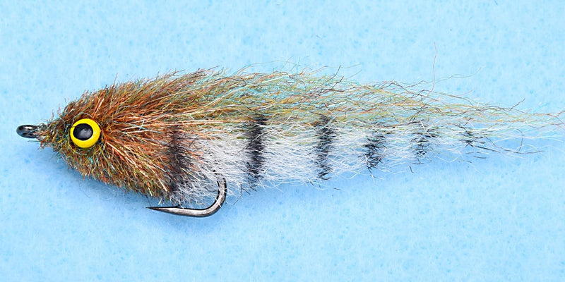 EP Little Minnow Shaded Back Country / Lead Eye Flies