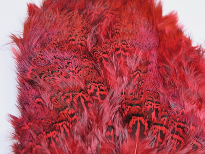 Nature's Spirit Ringneck Pheasant Rump Patch Red