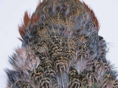 Nature's Spirit Ringneck Pheasant Rump Patch Muskrat Gray