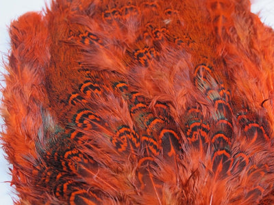 Nature's Spirit Ringneck Pheasant Rump Patch Orange
