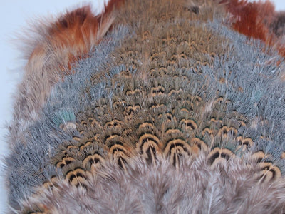 Nature's Spirit Ringneck Pheasant Rump Patch Natural