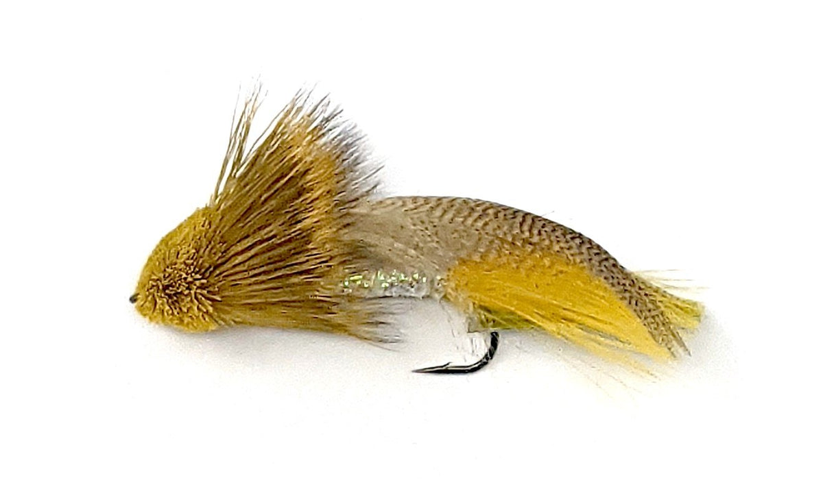 Galloup's Zoo Cougar – Dakota Angler & Outfitter