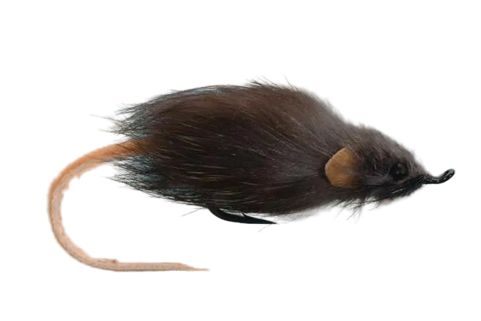 Hair Mouse Flies