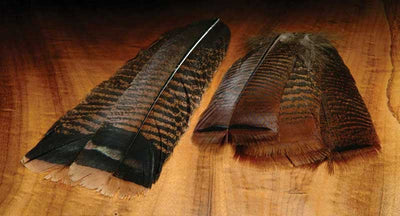 Hareline Cinnamon Tip Turkey Tail Feathers Default Saddle Hackle, Hen Hackle, Asst. Feathers