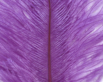 Hareline Ostrich Marabou Purple Saddle Hackle, Hen Hackle, Asst. Feathers