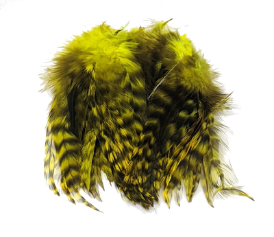 Hareline Strung 4-6 inch Grizzly Variant Saddle Hackle Bright Yellow #37 Saddle Hackle, Hen Hackle, Asst. Feathers