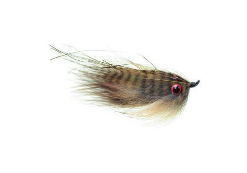 Home Invader Olive Grizzly