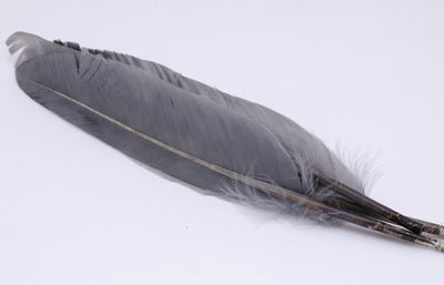 Nature's Spirit Duck Quills Natural Gray Saddle Hackle, Hen Hackle, Asst. Feathers