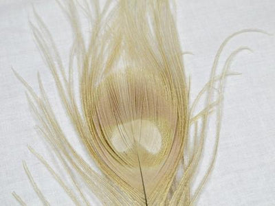 Nature's Spirit Dyed Peacock Sticks Light Cahill (DOB) Saddle Hackle, Hen Hackle, Asst. Feathers