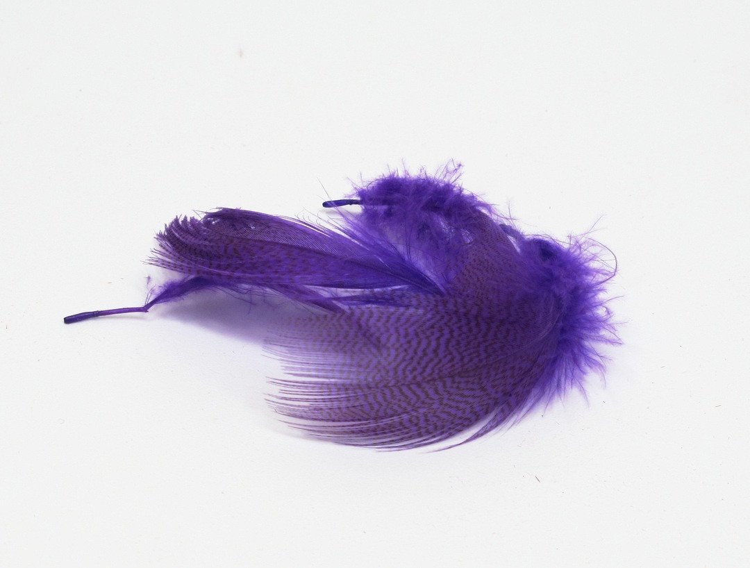 Nature's Spirit Mallard Flank Fl Purple
