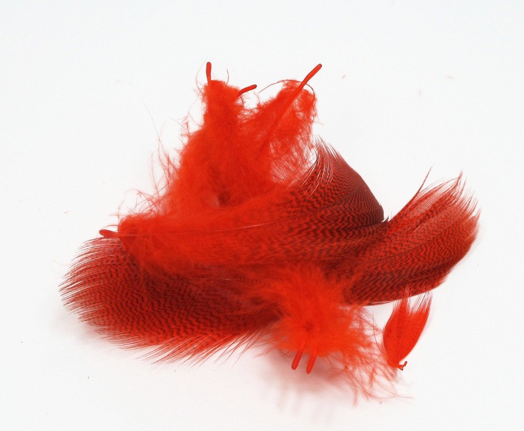 Nature's Spirit Mallard Flank Hot Orange