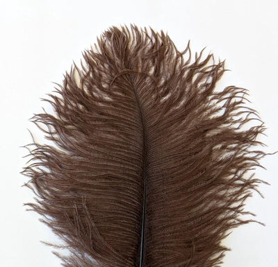 Nature's Spirit Ostrich Plume Brown Saddle Hackle, Hen Hackle, Asst. Feathers