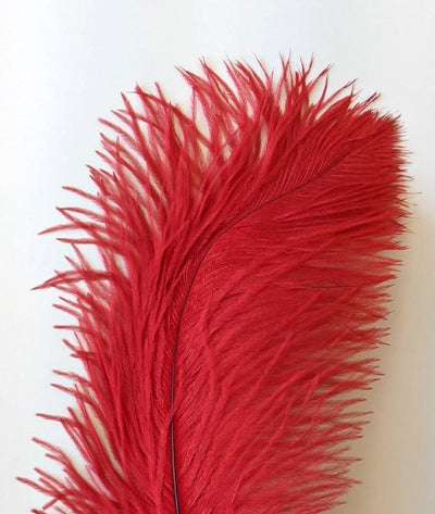 Nature's Spirit Ostrich Plume Red Saddle Hackle, Hen Hackle, Asst. Feathers