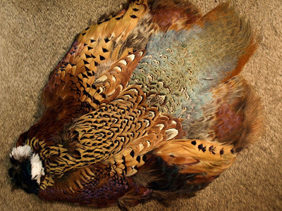 Nature's Spirit Ringneck Pheasant Whole Skin