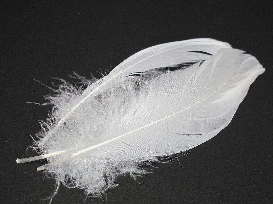 Nature's Spirit Select Goose Shoulder White