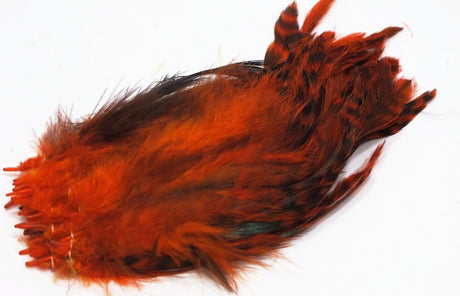 Nature's Spirit Schlappen Crawdad Orange Variant