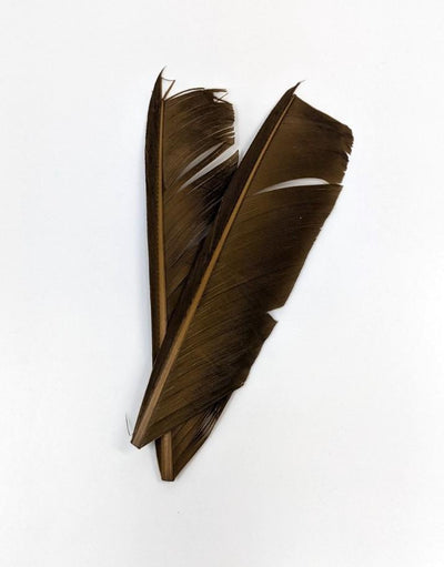Nature's Spirit Turkey Biot Quill Pieces Brown Olive Saddle Hackle, Hen Hackle, Asst. Feathers